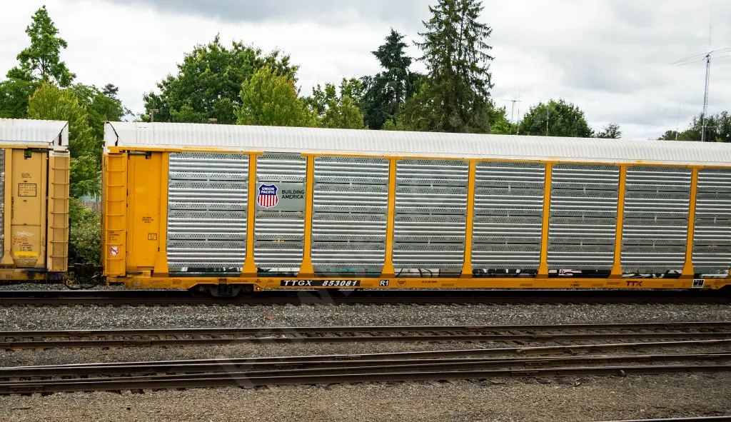 Train photo