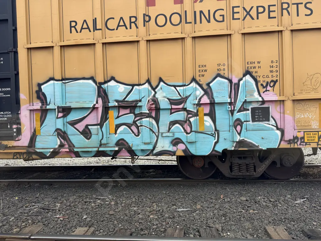 TBOX664229 - NORTH-AMERICA