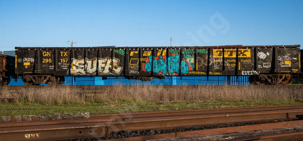 GNTX295157 - NORTH-AMERICA