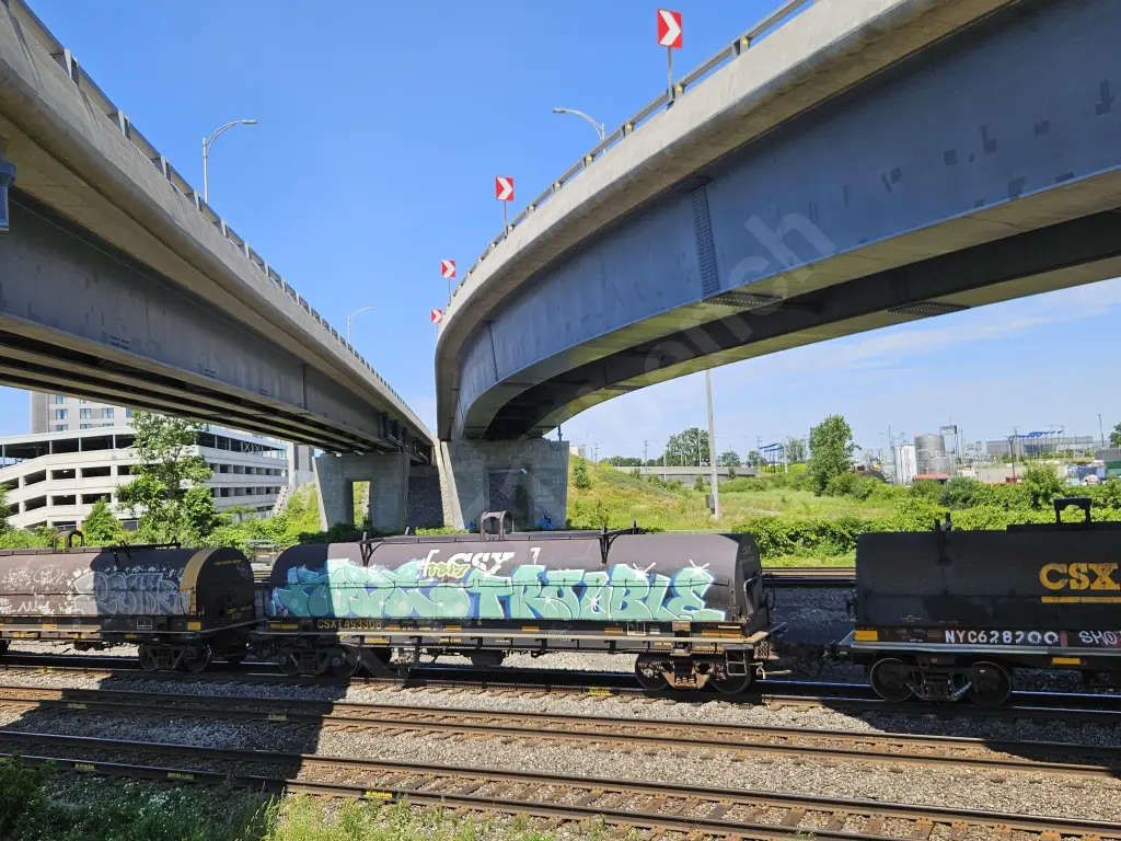 CSXT493308 - NORTH-AMERICA
