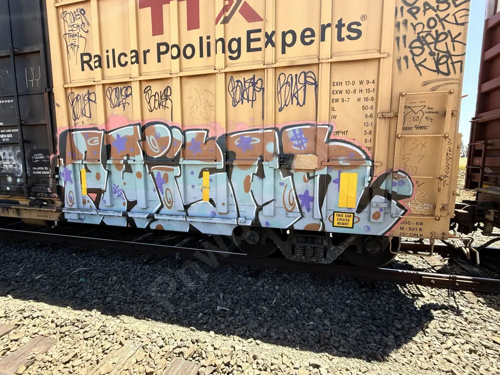 FBOX505855 - NORTH-AMERICA