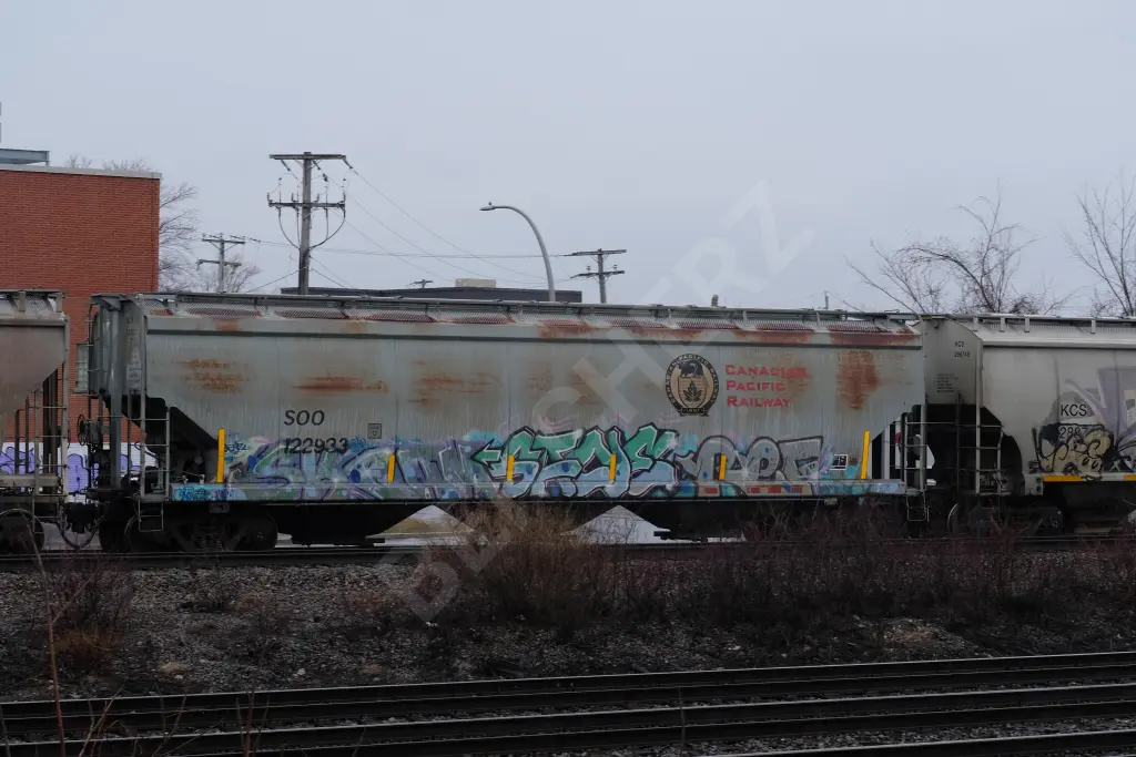 SOO122933 - NORTH-AMERICA