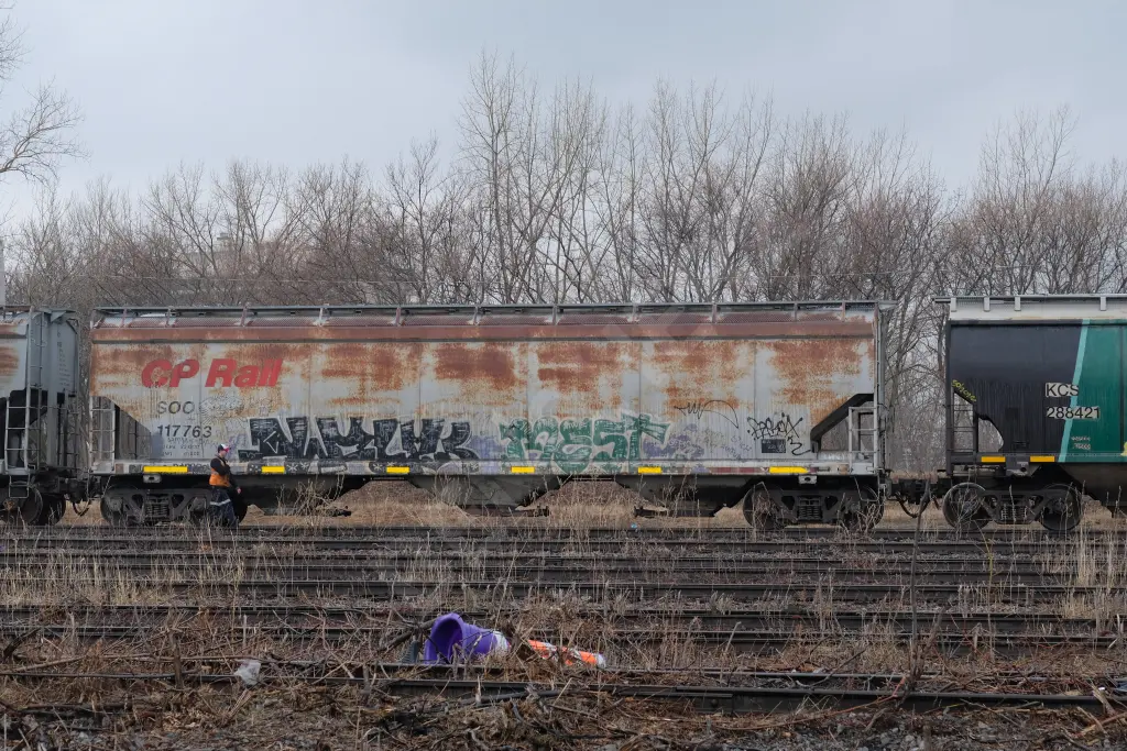 SOO117763 - NORTH-AMERICA