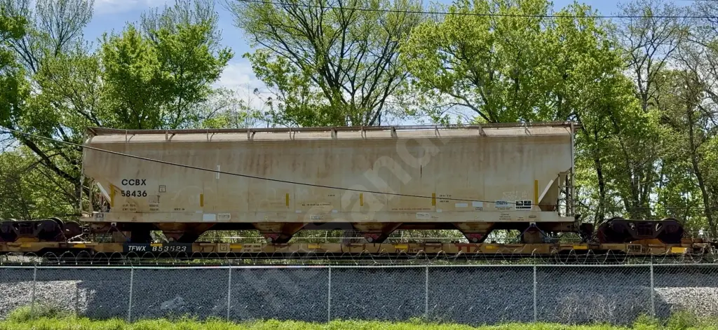TFWX853523 - NORTH-AMERICA