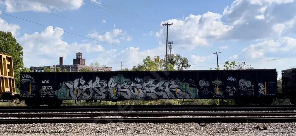 AOK35172 - NORTH-AMERICA