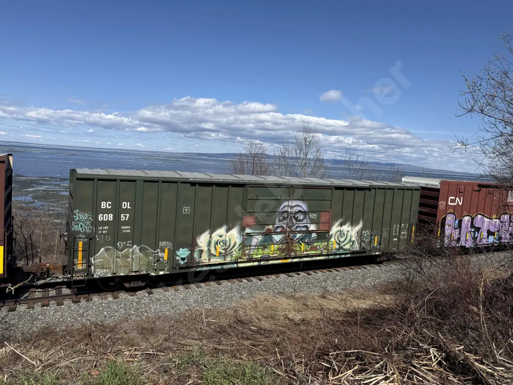 BCOL60857 - NORTH-AMERICA