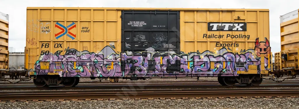 FBOX504728 - NORTH-AMERICA
