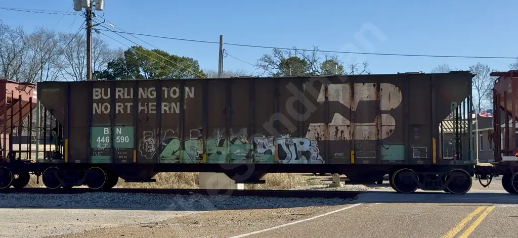 BN446590 - NORTH-AMERICA