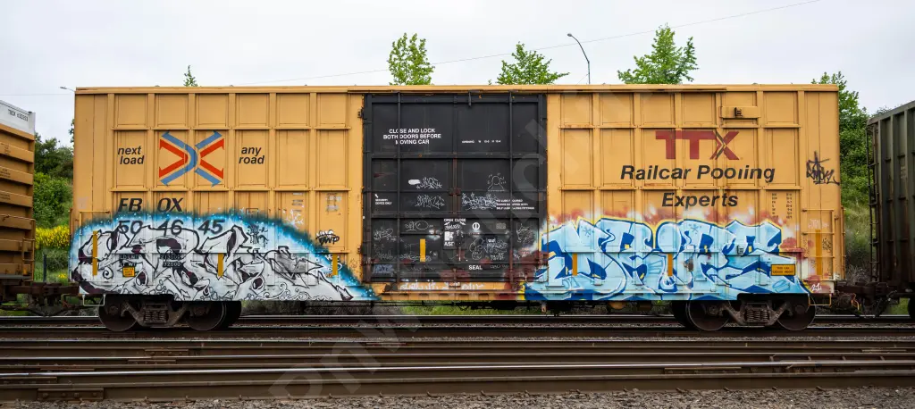 FBOX504645 - NORTH-AMERICA
