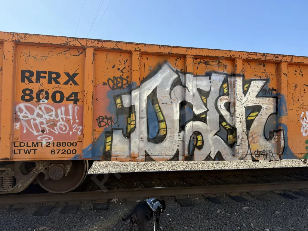 RFRX8004 - NORTH-AMERICA