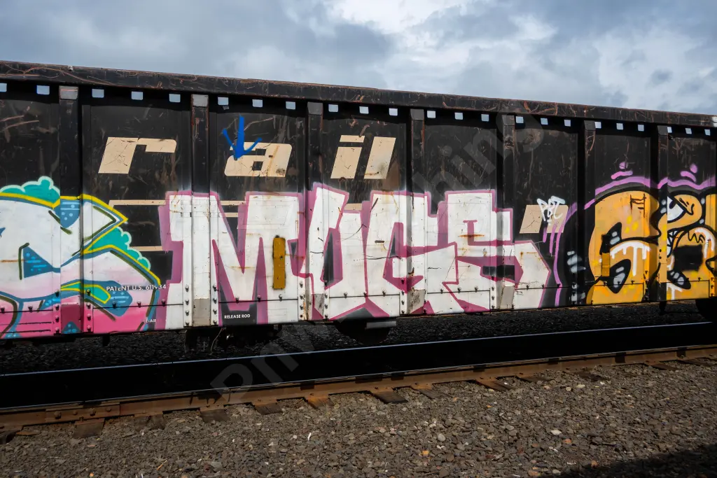 GNTX290145 - NORTH-AMERICA