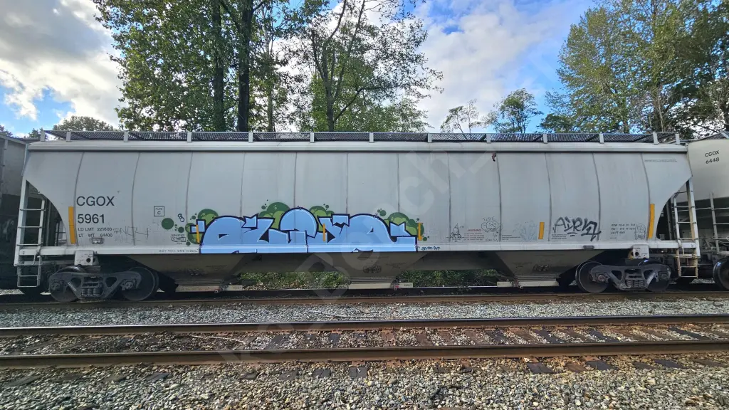 CGOX5961 - NORTH-AMERICA