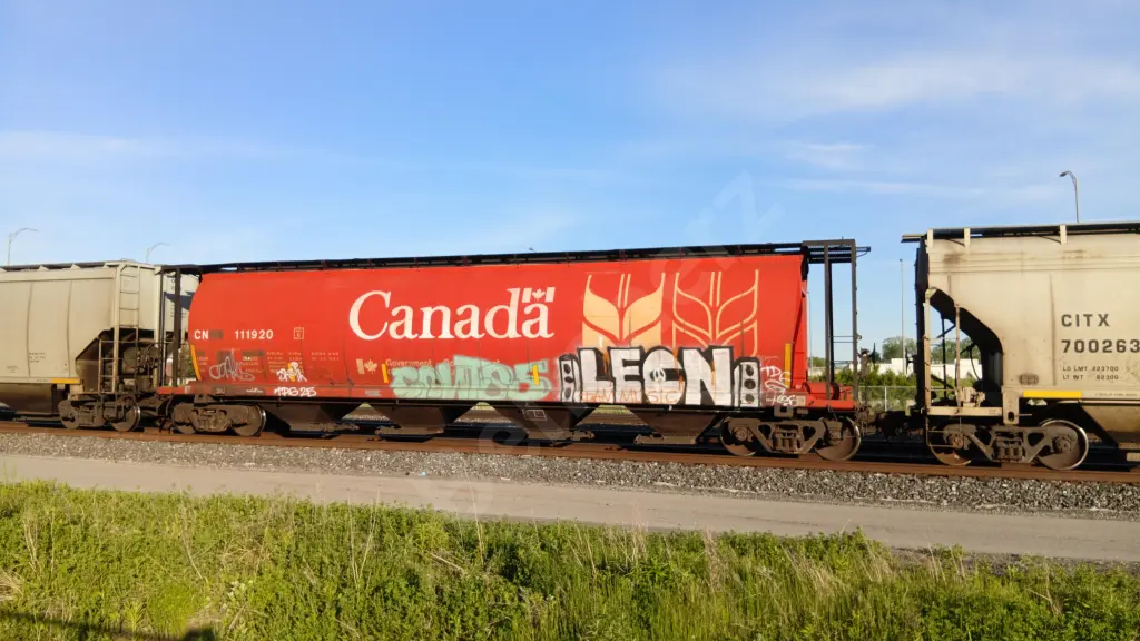 CN111920 - NORTH-AMERICA
