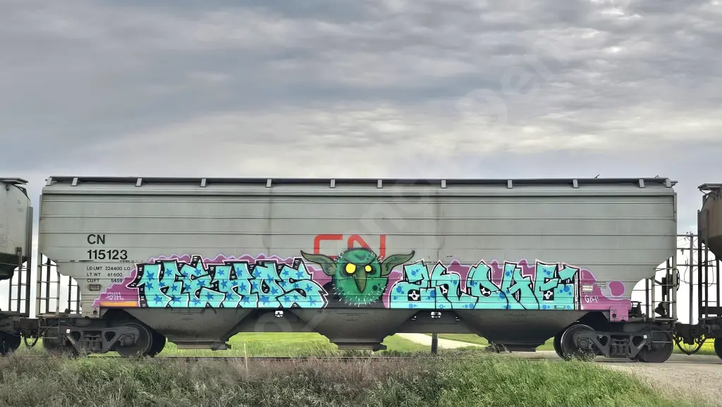 CN115123 - NORTH-AMERICA