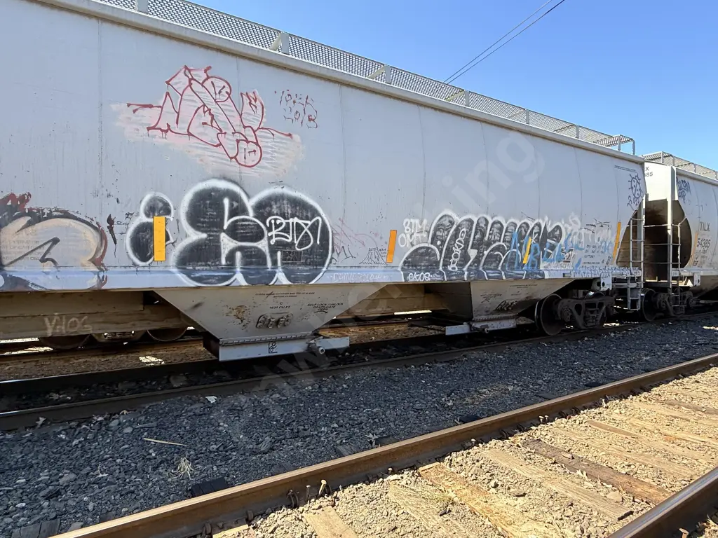 TILX54399 - NORTH-AMERICA