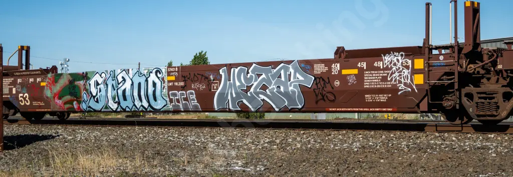 AOK57401 - NORTH-AMERICA