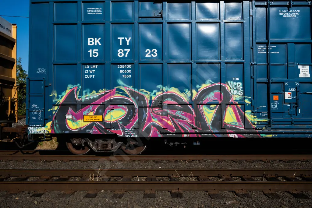 BKTY158723 - NORTH-AMERICA