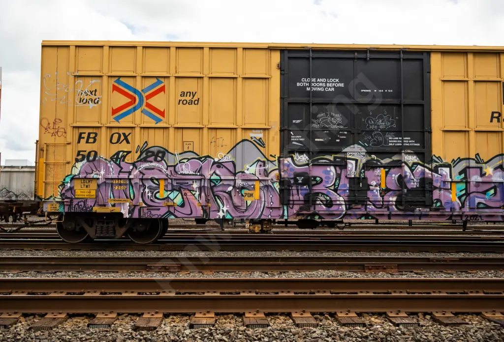 FBOX504728 - NORTH-AMERICA