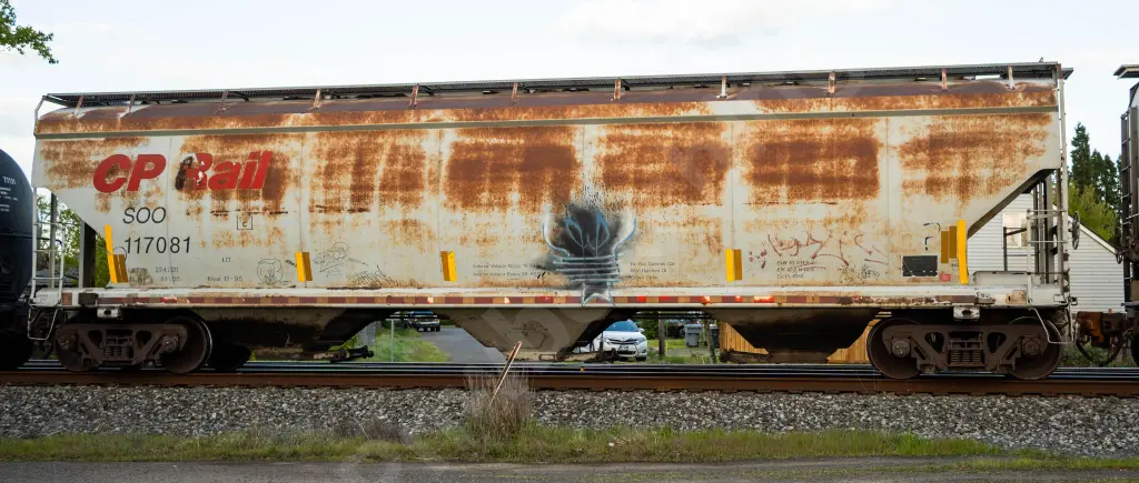 SOO117081 - NORTH-AMERICA