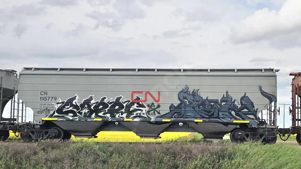 CN115779 - NORTH-AMERICA