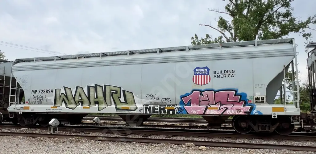 MP723829 - NORTH-AMERICA
