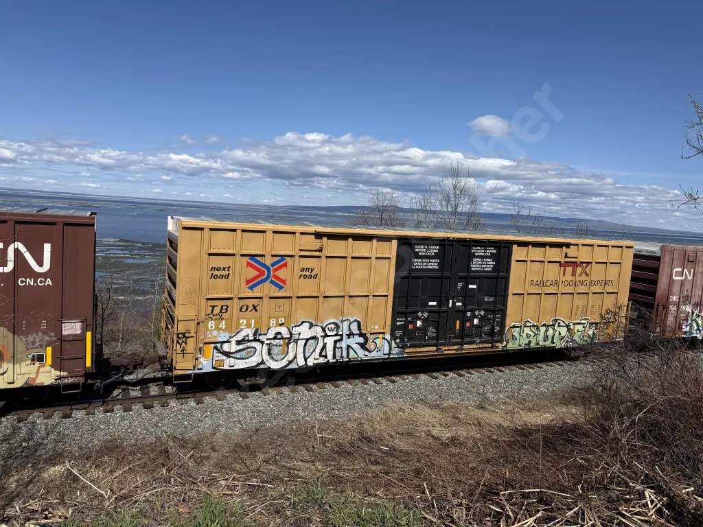 TBOX642189 - NORTH-AMERICA