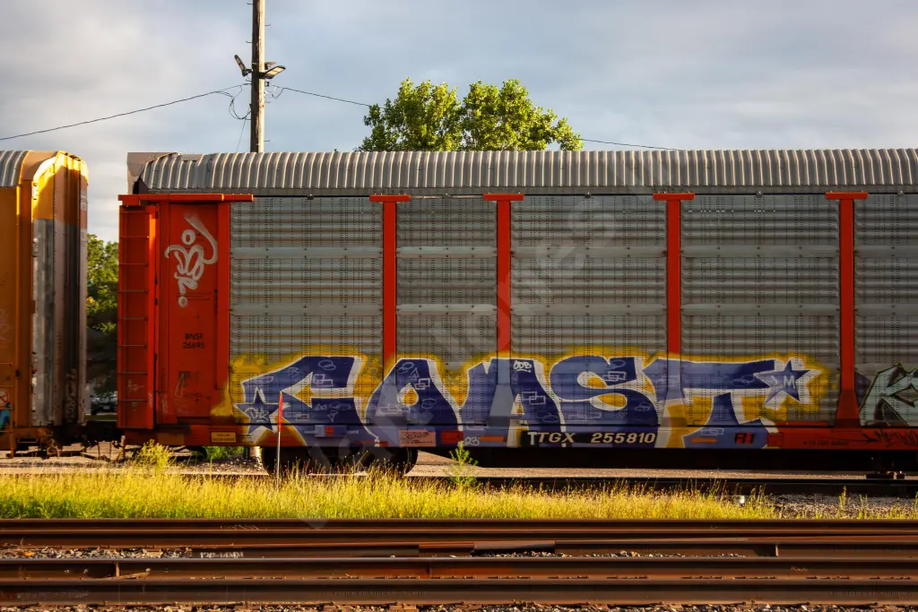 TTGX255810 - NORTH-AMERICA