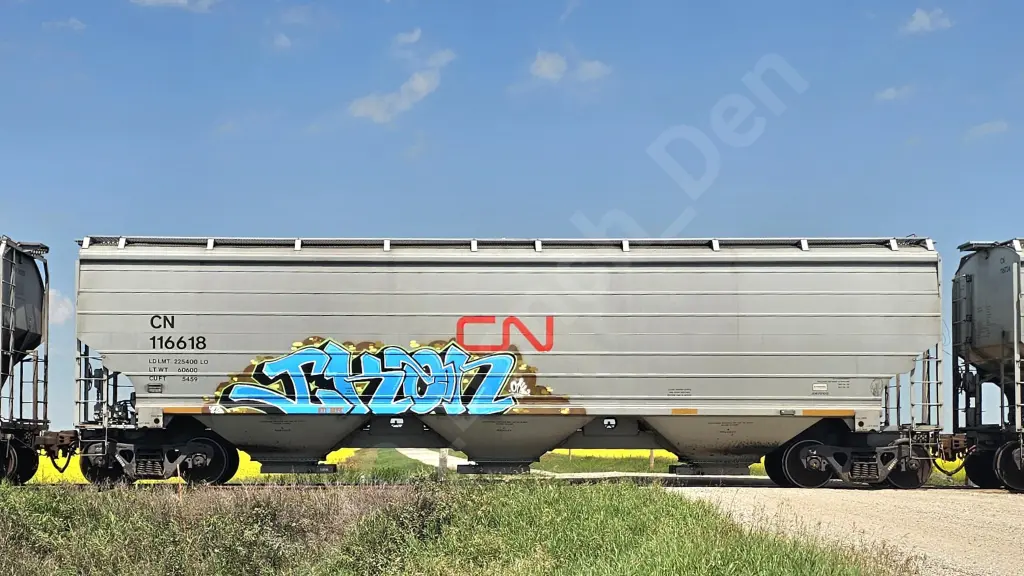 Train photo