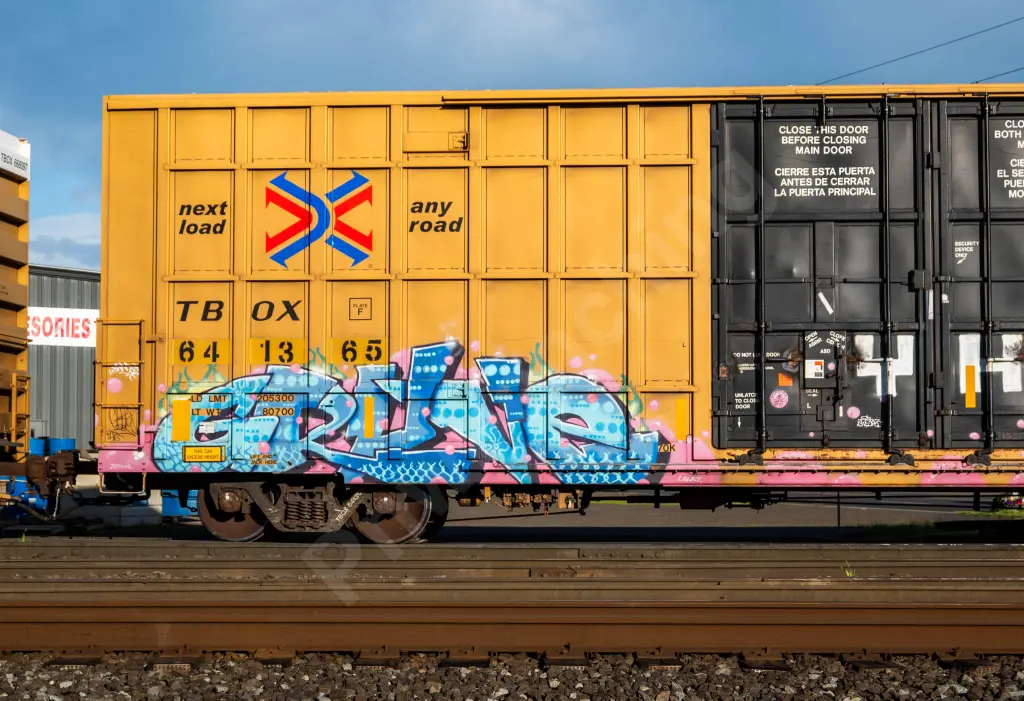 TBOX641365 - NORTH-AMERICA