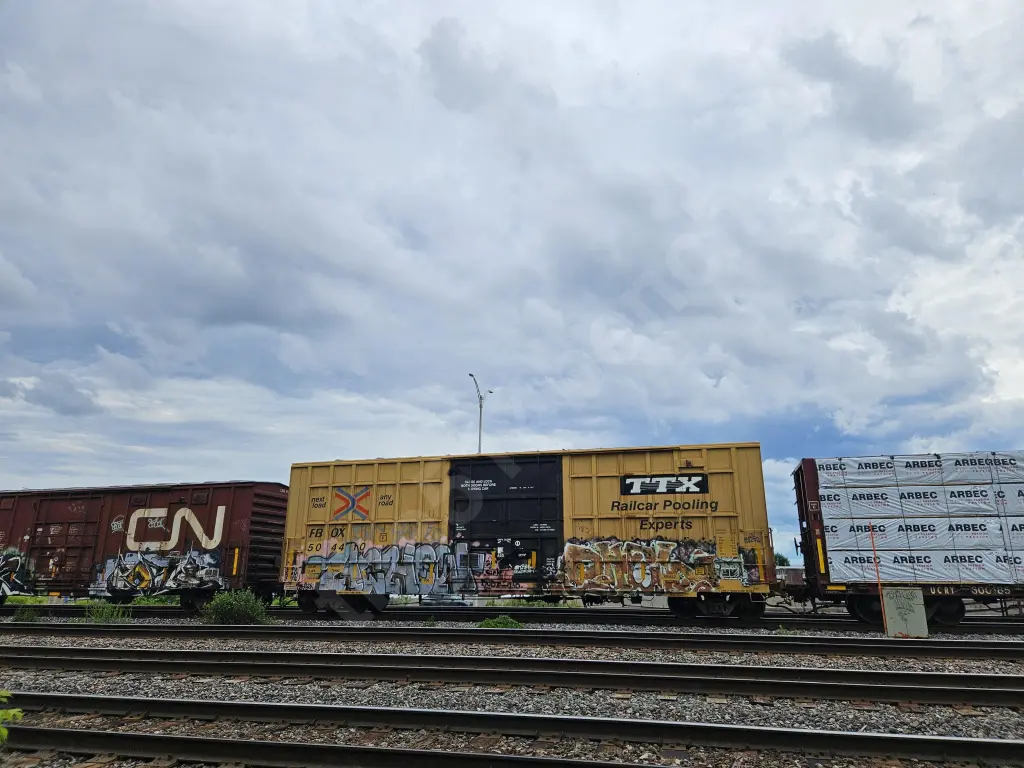 FBOX504410 - NORTH-AMERICA