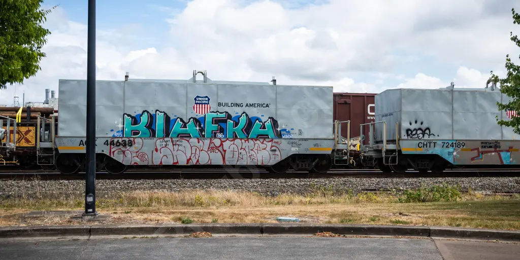 AOK44638 - NORTH-AMERICA