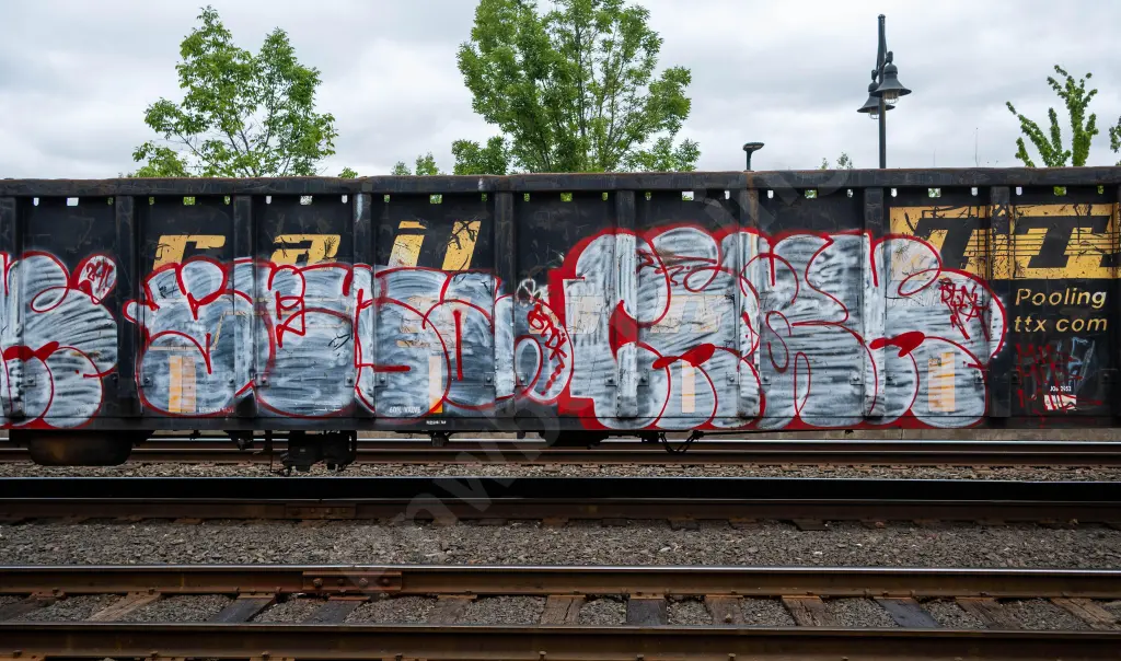 Train photo