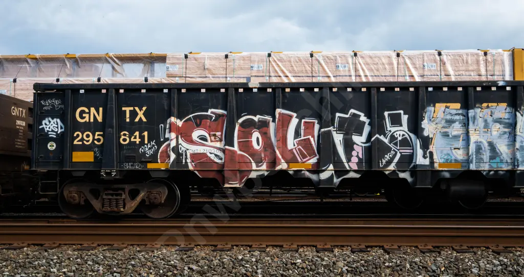 GNTX295841 - NORTH-AMERICA