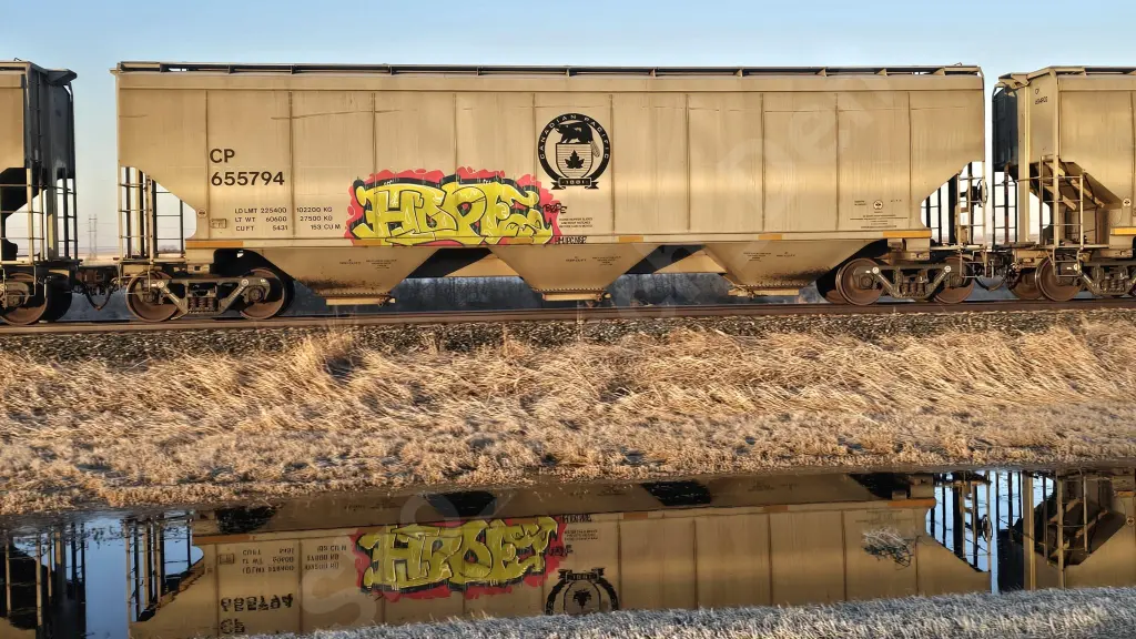 CP655794 - NORTH-AMERICA
