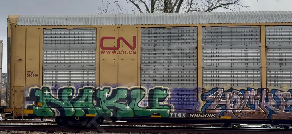 TTGX695886 - NORTH-AMERICA