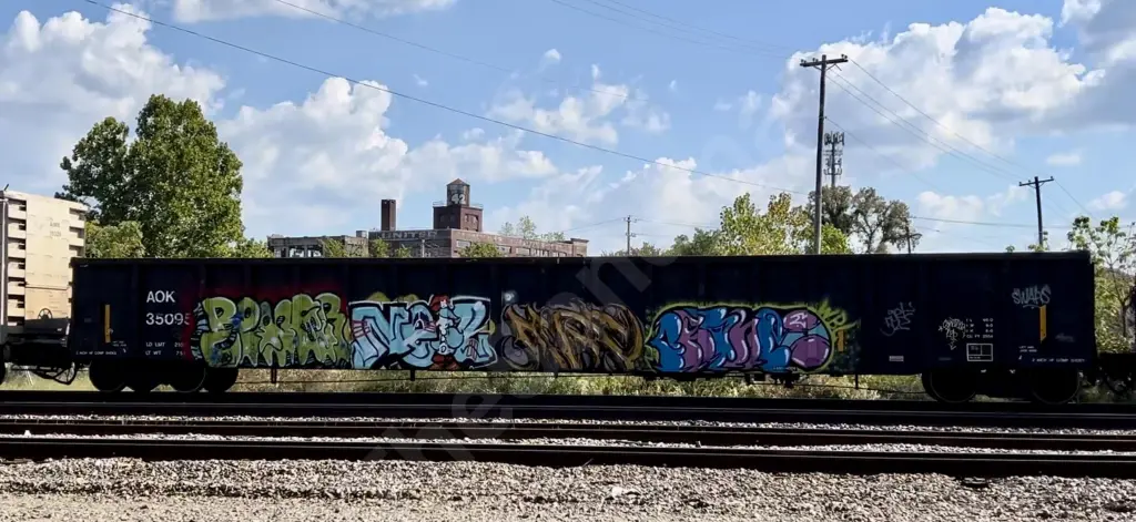 AOK35095 - NORTH-AMERICA
