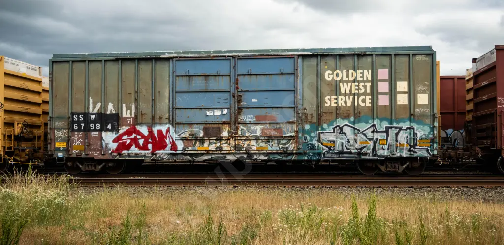 SSW67984 - NORTH-AMERICA
