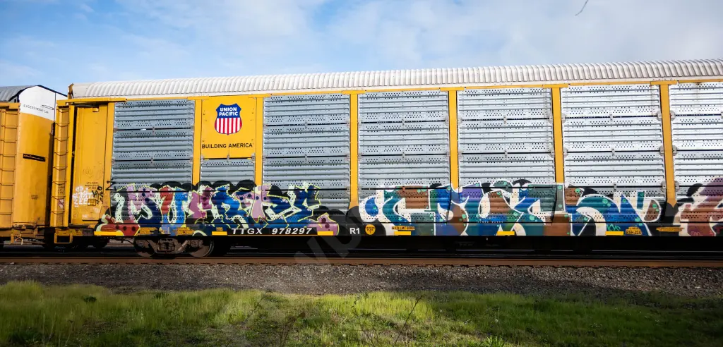 TTGX978297 - NORTH-AMERICA