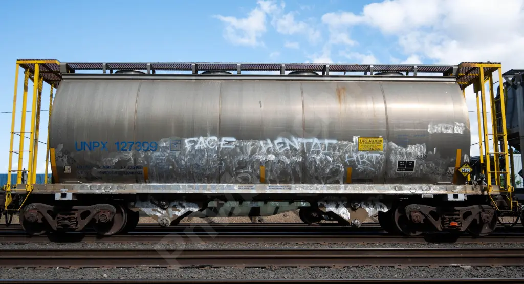 UNPX127309 - NORTH-AMERICA