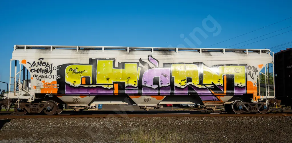 SHQX40116 - NORTH-AMERICA