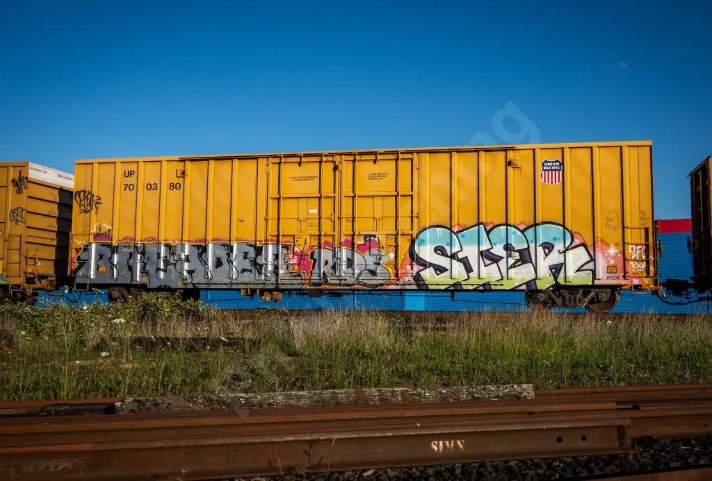 UP700380 - NORTH-AMERICA