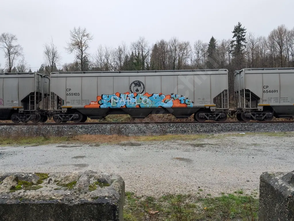 CP655103 - NORTH-AMERICA