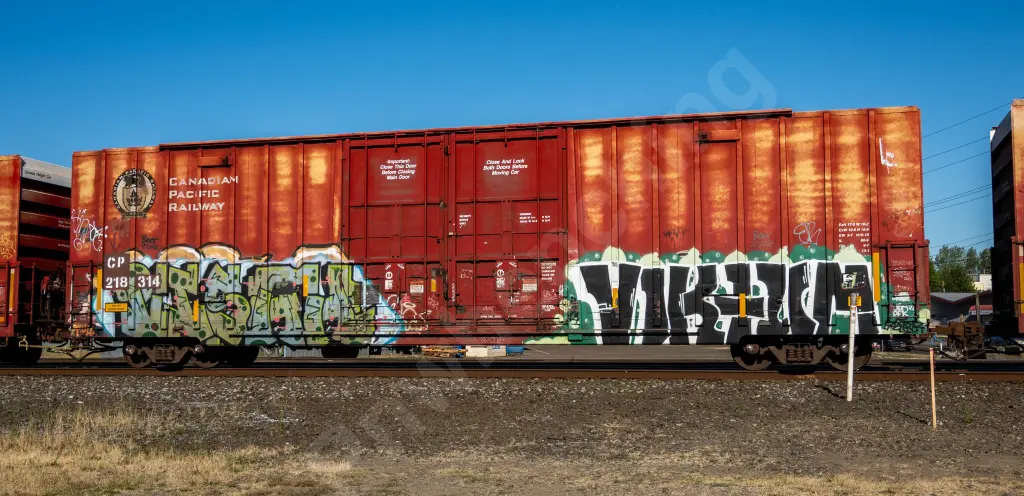 CP218314 - NORTH-AMERICA