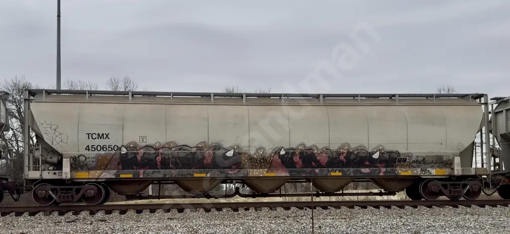 Train photo