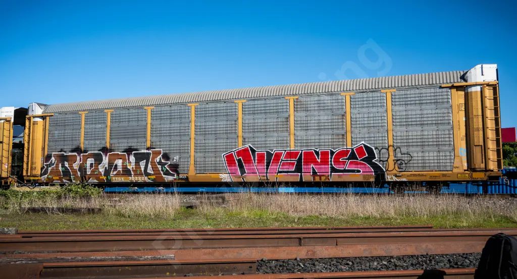 TTGX702226 - NORTH-AMERICA