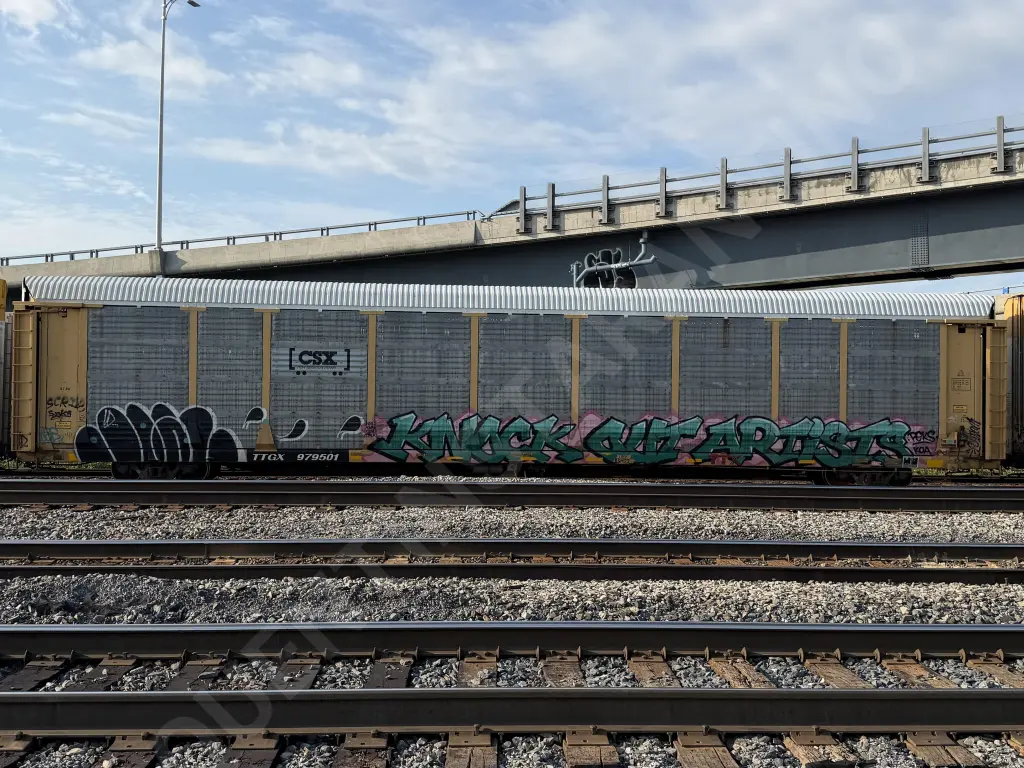 TTGX979501 - NORTH-AMERICA