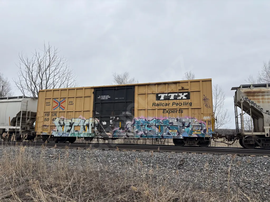 TBOX504723 - NORTH-AMERICA
