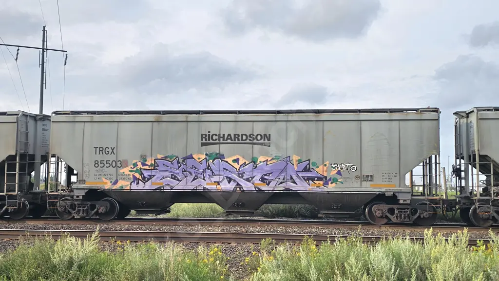 TRGX85503 - NORTH-AMERICA