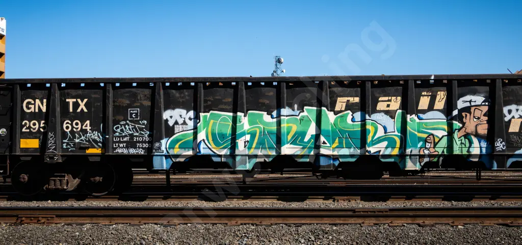 GNTX295694 - NORTH-AMERICA