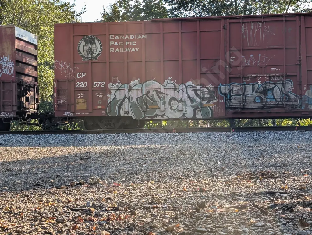 CP220572 - NORTH-AMERICA